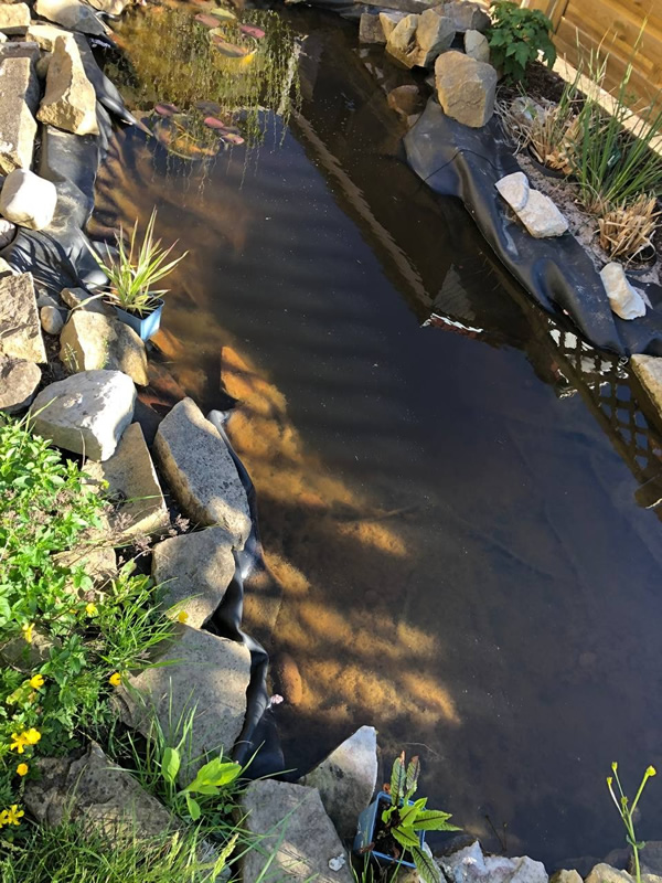 Actviated glass ball to go into river pulsing the water with more life and energy